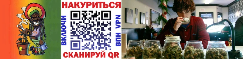 Галлюциногенные грибы Новошахтинск