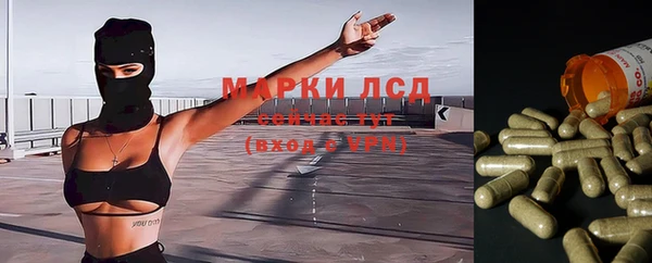 a pvp Кодинск
