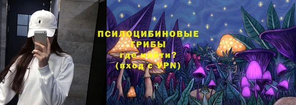 a pvp Кодинск