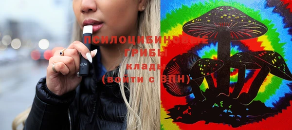 mix Козельск
