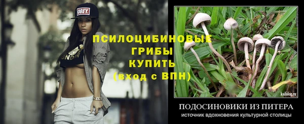apvp Козловка