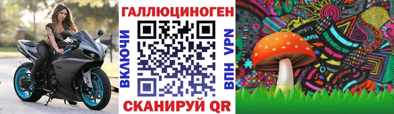 Псилоцибиновые грибы мицелий  Новошахтинск 